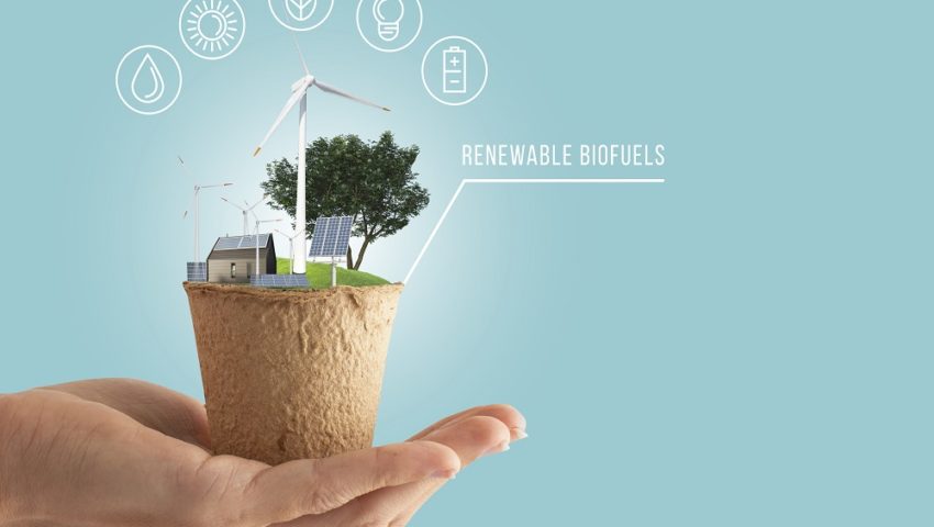 representacion de una Casa ecologica y sostenible